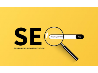 SEO Company in Pune  Expert Local SEO Services for Maximum Visibility