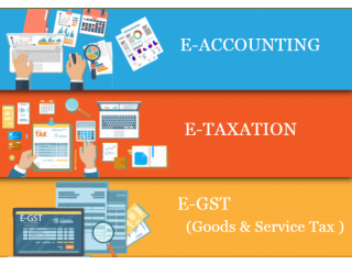 Tally Prime Course in Delhi, 110053,12th and Graduation by SLA , Independence Day Offer'24 [ Learn New Skills of Accounting & Finance for 100% Job]