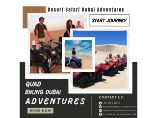 Red Sands Desert Safari Dubai: An Unforgettable Adventure in the Crimson Dunes / 0555538395