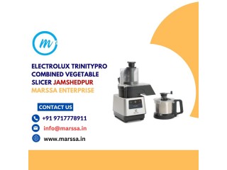 Electrolux TrinityPro Combined Vegetable Slicer Jamshedpur