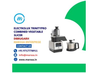 Electrolux TrinityPro Combined Vegetable Slicer Dibrugarh