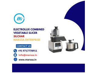 Electrolux TrinityPro Combined Vegetable Slicer Silchar