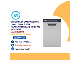 Electrolux Warewashing Small Single Skin Glasswasher and rinse aid dispenser Jamshedpur