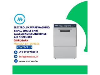 Electrolux Warewashing Small Single Skin Glasswasher and rinse aid dispenser Dibrugarh