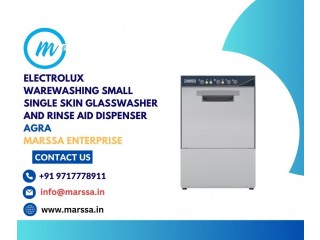 Electrolux Warewashing Small Single Skin Glasswasher and rinse aid dispenser Agra