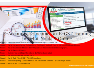 Accounting Course in Delhi, 110010, [GST Update 2024] by SLA. GST and Accounting Institute, Taxation and Tally Prime Institute in Delhi, Noida,